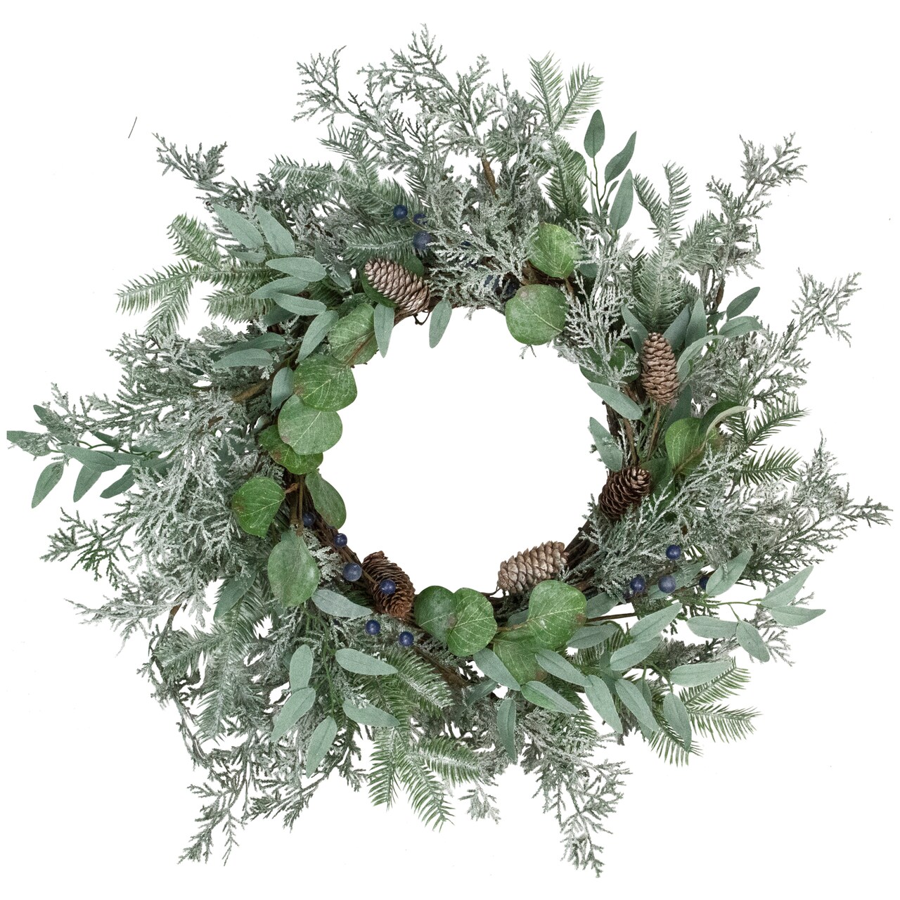 Northlight Frosted Green Mixed Foliage and Blueberries Artificial Christmas Wreath, 26-Inch, Unlit